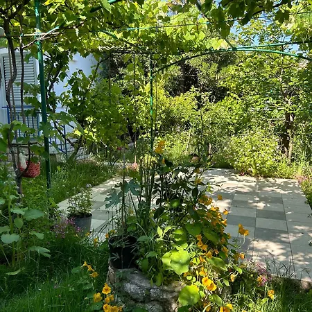Oliva Mediterranean Garden,paradise ロパール