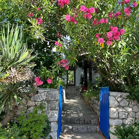 アパート Oliva Mediterranean Garden,paradise *