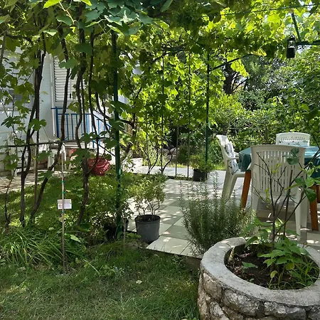 Oliva Mediterranean Garden,paradise *